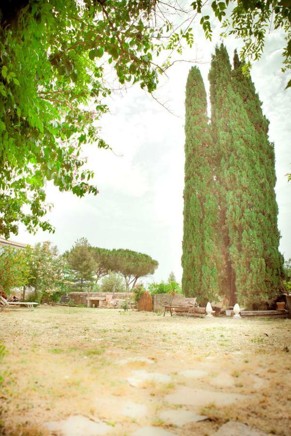 Il Pievano B&B Campiglia Marittima Exterior foto
